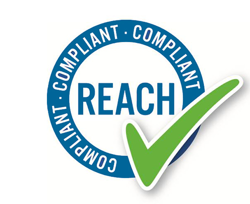 REACH STATEMENT